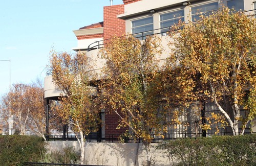 Williamstown Hotel | Captain's Retreat Apartments and Cottages