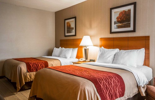 White River Junction Hotel | Comfort Inn White River Junction