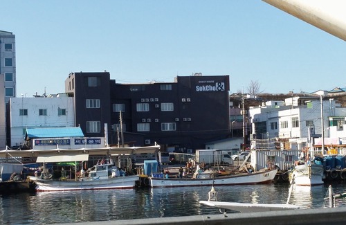 Sokcho Hotel | Sokcho & Guesthouse