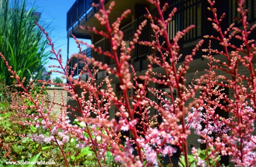 Historic Southwest Hotel | Centerstone Plaza Hotel Soldiers Field - Mayo Clinic Area