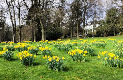 Cults Hotel | Marcliffe Hotel and Spa