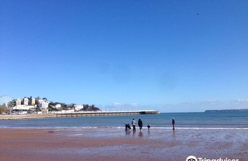 Torquay City Centre Hotel | Belgrave Sands Hotel & Spa