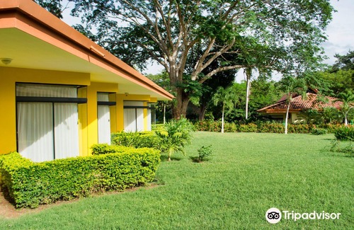 Panama Beach Hotel | Papagayo Golden Palms Beachfront Hotel