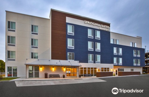 Butler Hotel | SpringHill Suites by Marriott Pittsburgh Butler/Centre City