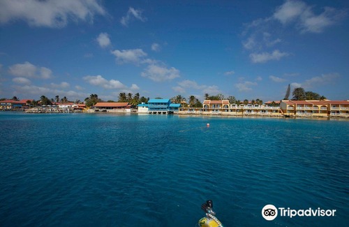 Playa Hotel | Divi Flamingo Beach Resort