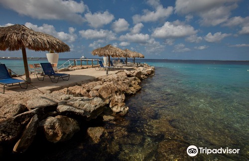 Playa Hotel | Divi Flamingo Beach Resort