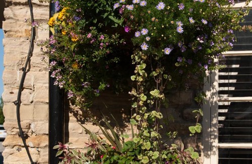 South Cave Hotel | The Fox and Coney Inn