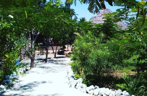 Mkunguni Bed & Breakfast | The Dream Garden Bungalow