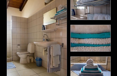 Sabal Palm House | Bonaire: Sabal Palm 50 guesthouse