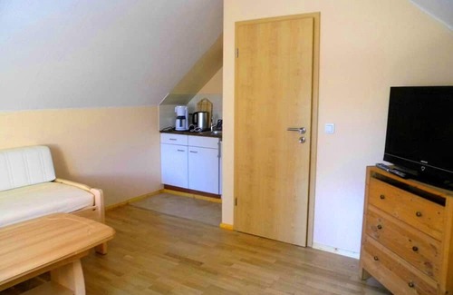 Ehrenfriedersdorf Condo | Greifenbachmühle-FEWO 5 (12 people + 3 children) EG-FEWO handicapped accessible