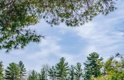 Seguin Cabin | This cottage is a 2 bedroom(s), 1 bathrooms, located in Parry Sound , on.