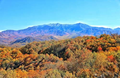 Chalet Village Cabin | Great Location! Huge Game Rm! Unparalleled Views! Cul-De-Sac! - Longview Lodge