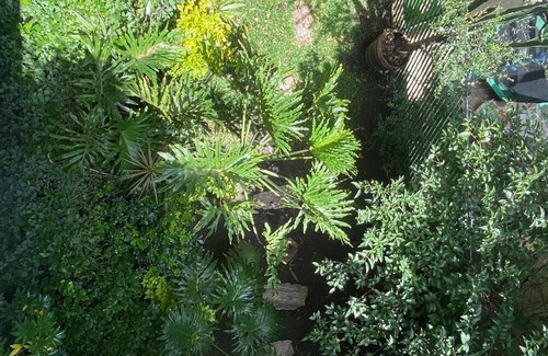 Puebla House | IDEAL HOUSE FOR GROUPS OR FAMILIES IN A HISTORIC AND WOODED AREA
