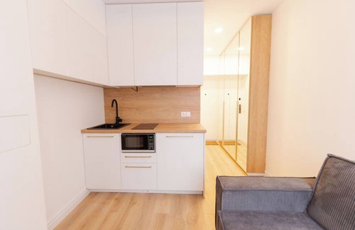 Vilnius Apartment | New modern and cozy studio apartment in the Old Town Vilnius