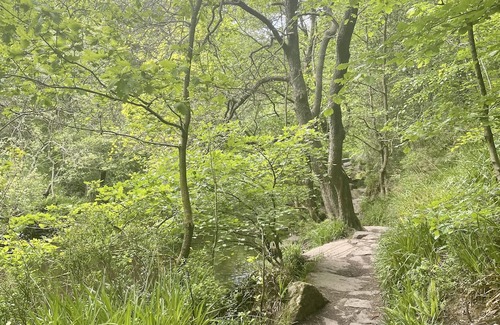 Wadsworth Cottage | Cosy Hebden Bridge cottage with amazing views