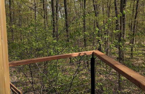 West Lincoln Cabin | Modern Cabin in the Woods