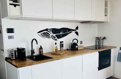 Oud Ade Boat Rental | Houseboat: "De Walvis" at Kagerplassen with tender. 4+ 2 kids