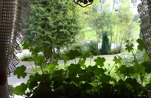 Gremmelsbach Apartment | Holiday Apartment '2, 2 Bedrooms' with Shared Garden and Wi-Fi
