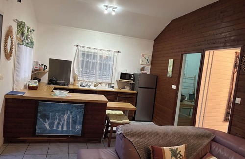 Les Avirons Ski Chalet | Le NID chalet classė 3* between sea and mountains