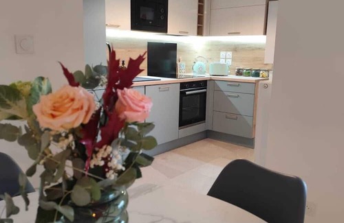 Montmerle-sur-Saone Apartment | Appt T3 65m2, sleeps 6, Montmerle Centre, Bord de Saône