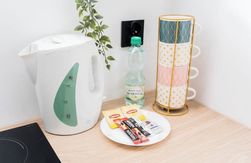 Grunwald Apartment | Wilson Park Serene Studio #2