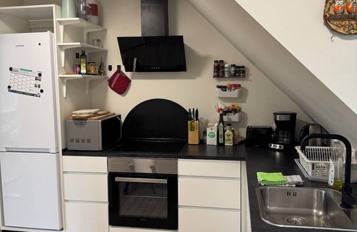 Odense House | Large Odense Home w/Rooftop Terrace, 2 Kitchens & Free Parking