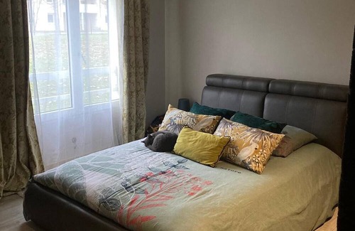 Lingolsheim Apartment | Charming apartment near Strasbourg - Your getaway with family or friends