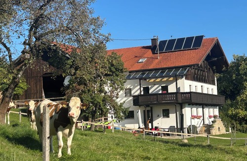 Surberg Apartment | Vacation apartment at Leitnerhof
