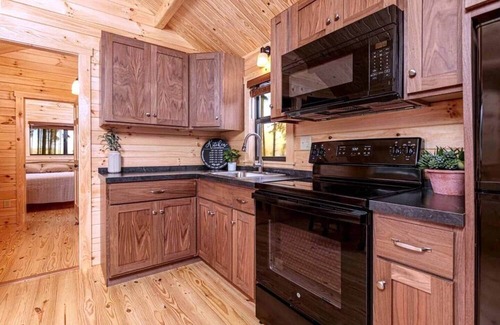 Hector Cabin | Cozy Cabin on Seneca Wine Trail Vineyard View 6