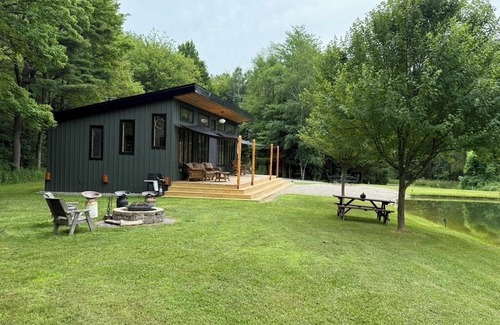 Scottsburg Cabin | Lone Birch Cabin in Dansville NY