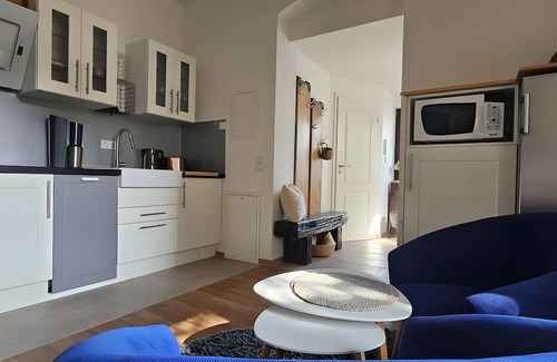 Striesen Apartment | Apartment 'Nahe Blauen Wunder 2' with Shared Terrace, Shared Garden and Wi-Fi