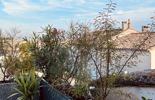 Aigues-Mortes Medieval City Apartment | Apartment-Ensuite with Bath-Terrace