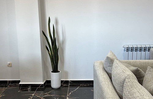 Algiers Apartment | Bright Sea View 3-bedroom apartment in Raïs Hamidou
