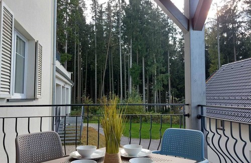 Lojzova Paseka Apartment | Lakeside Heaven. Apartment directly in the Lipno reservoir