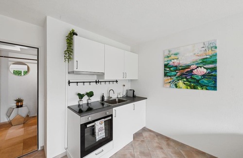 Horgen District Apartment | EXQUIS Design 2-Room Apartment Zurich ROSET I Garden I Lake View