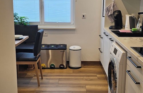 Stuttgart Apartment | The Exotic Tropical Palace - ComfyHome Apartments Stuttgart