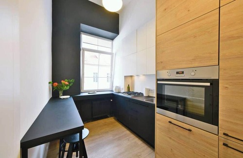 Old Town Apartment | Domillion 3bdr 2bath New Apt w free parking V1020