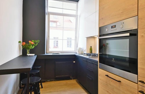 Old Town Apartment | Domillion 3bdr 2bath New Apt w free parking V1020