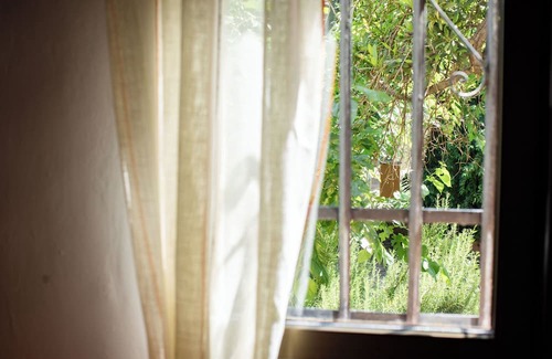 Guadamur House | "Finca Navalpino A Natural Paradise Near Puy du Fou, The Weather Is Your Choice"