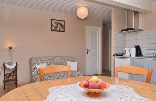 Castelnau-Durban House | Holiday Home 'Au Milieu Des Chevaux Mérens' with Private Terrace and Balcony