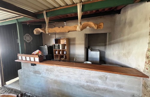 Santa Ana House | Casa Aguacate (an adventure under the tree)