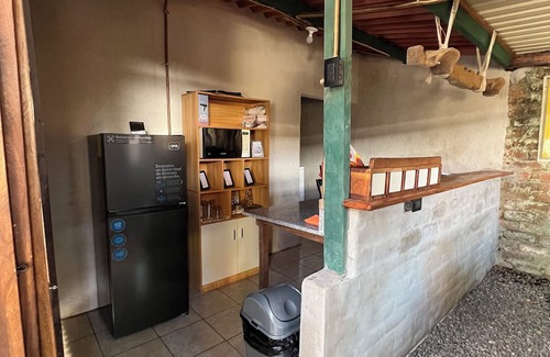 Santa Ana House | Casa Aguacate (an adventure under the tree)