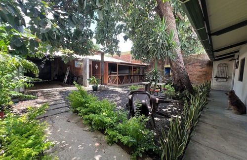 Santa Ana House | Casa Aguacate (an adventure under the tree)