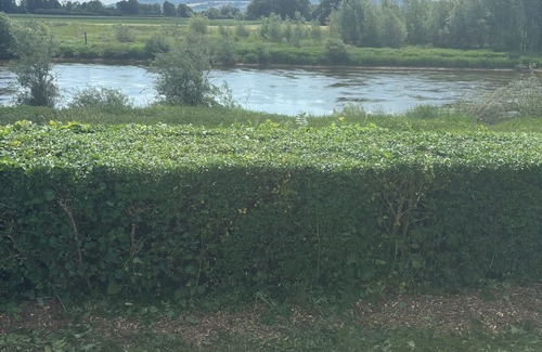 Rinteln House | Stylish vacation home directly on the Weser with covered terrace and free WLAN