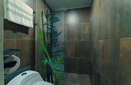 Zona Centro Apartment | Casa Lanz #1 - Old House in the Heart of the City