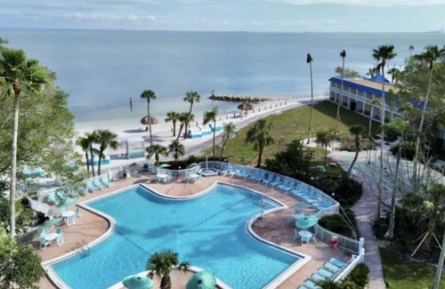Pinellas Point House | A Slice of Paradise: Relax, Play, & Indulge in Unique St Pete Experience!
