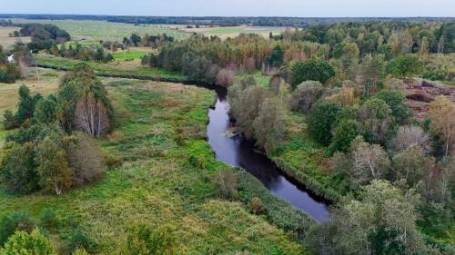 Pohja-Parnumaa Parish House | Dome house expierence by the river with sauna