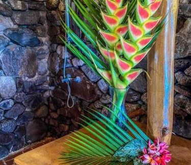 Cook's Bay House | Moorea Cooks bay bungalow avec vue imprenable