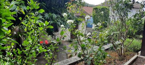 Irigny Villa | Charming Modular House From 4 To 6 Beds With Patio