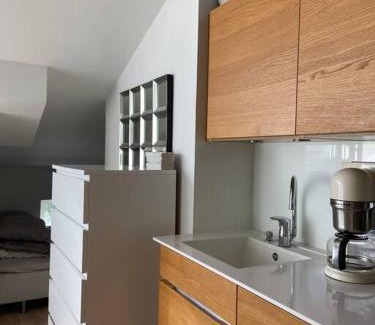 Ullanlinna Apartment | Elegant Penthouse Loft - City Center